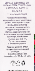 Морс 365 ДНЕЙ Ягоды, 1л