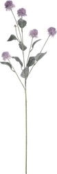 Растение искусственное GIARDINO CLUB Цирсиум, Арт. CH01526443