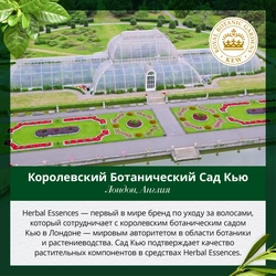 Бальзам-ополаскиватель для волос HERBAL ESSENCES Белая клубника и сладкая мята, 180мл