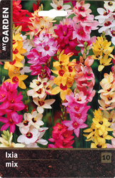 Изображение товара Луковицы MY GARDEN Иксия микс, 10шт