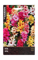 Изображение товара Луковицы MY GARDEN Иксия микс, 10шт
