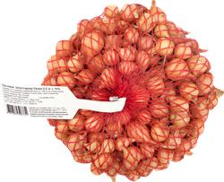 Изображение товара Лук-севок ПОИСК Cтурон, 500г