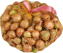 Изображение товара Лук-севок ДАЧИУДАЧИ Штуттгартер Ризен, фракция 14/21, 500г