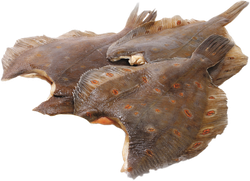 Изображение товара Камбала замороженная потрошеная без головы, весовая