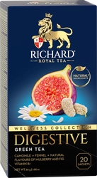 ЧайзеленыйRICHARDMoroccanMint,25пак