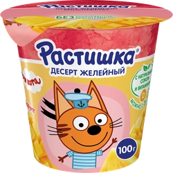 Желе РАСТИШКА Мультифрукт, 100г