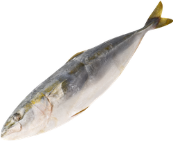 Изображение товара Лакедра желтохвостая замороженная неразделанная, весовая
