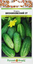 Изображение товара Семена РУССКИЙ ОГОРОД Огурец Вязниковский-37, Арт. 301106, 0,5г