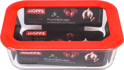 Контейнер HOPPS жаропрочное стекло, силикон, 1л, Арт. NE-BG4