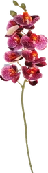 Ветка искусственных цветов ФЕНИКС-ПРЕЗЕНТ Орхидея 74x10x5см, Арт. 88198