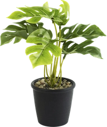 Растение искусственное декоративное ФЕНИКС-ПРЕЗЕНТ 23x17x17см зеленое, в кашпо, Арт. 88220