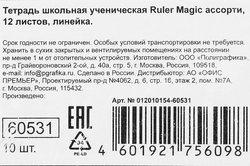 Тетрадь ERICHKRAUSE Ruler magic, 12 листов, в линейку, в ассортименте, Арт. 60531