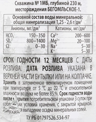 Вода минеральная БОРОВАЯ лечебно-столовая газированная, ПЭТ, 1.5л