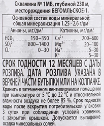 Вода минеральная БОРОВАЯ лечебно-столовая газированная, 0.5л