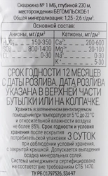 Вода минеральная БОРОВАЯ лечебно-столовая негазированная, 0.5л