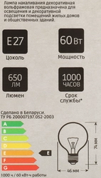 Лампа накаливания HOMECLUB Шар 60Вт, Е27, теплый свет, Арт. ДШ230-60-1