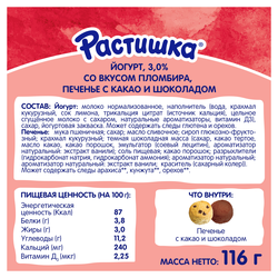 Йогурт РАСТИШКА Пломбир и печеньем с шоколадом и с какао обогащенный 3%, без змж, 116г