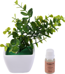 Набор HOMECLUB Aroma Tree ароматич.