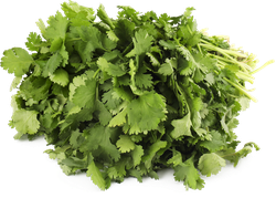 Изображение товара Кинза свежая, 180г