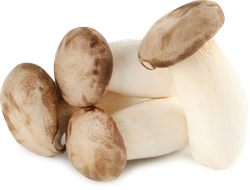 Изображение товара Грибы Еринги, 200г