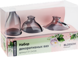 Набор декоративных ваз HOMECLUB Interrio, стекло, Арт. SY-24028