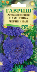 Изображение товара Семена ГАВРИШ Астра помпонная однолетняя Пампушка черничная, Арт. 10006543, 0,3г