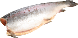 Изображение товара Форель Радужная замороженная потрошеная без головы 1,8–3,6кг, весовая