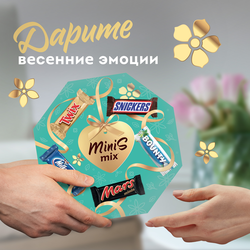 Набор подарочный MINIS MIX восьмиугольник, 262г