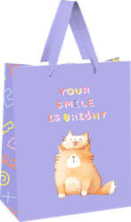 Изображение товара Пакет подарочный MESHU Здесь жарко, ламинированный, 26х32х12см