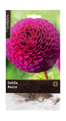 Изображение товара Луковицы MY GARDEN Георгина помпонная Рокко