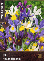Изображение товара Луковицы MY GARDEN Ирис Голландский, микс, 10шт