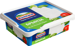 Сыр HOCHLAND Брынза в рассоле 45%, без змж, 250г