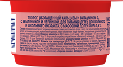 Творог для детей РАСТИШКА Земляника, черника 3,5% обогащенный, без змж, 110г