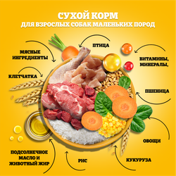 Корм сухой для взрослых собак PEDIGREE с говядиной, полнорационный, для мелких, 2000г