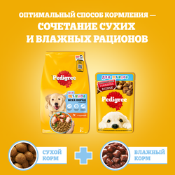 Корм сухой для щенков PEDIGREE полнорационный, с 2 месяцев, для всех пород, 500г
