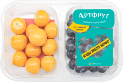 Ягодный микс мини АРТФРУТ Голубика и физалис, 150г