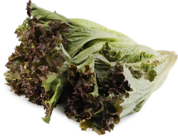 Изображение товара Салат листовой Фриллис красный, 100г