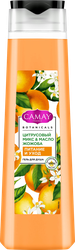 Изображение товара Гель для душа CAMAY Цитрусовый микс и масло жожоба, 400мл