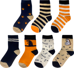 Изображение товара Носки детские INWIN Дино р. 14–22, Арт. BTS25BO-3, 7пар