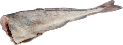 Изображение товара Пикша потрошеная без головы, весовая