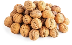 Орехи грецкие в скорлупе вес до 500г