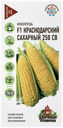 Изображение товара Семена УДАЧНЫЕ СЕМЕНА Кукуруза Краснодарский сахарный 250 СВ F1, 5г
