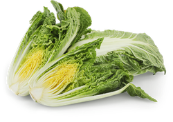 Изображение товара Капуста китайская/пекинская мини, 3шт