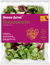 Изображение товара Смесь салатная БЕЛАЯ ДАЧА Botanicum, рукола, корн и радиччо, 75г