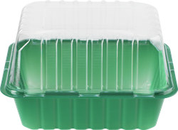 Изображение товара Мини-парник для выращивания рассады GIARDINO CLUB 21х16х6,5см с крышкой, на 1 кассету, Арт. 64673