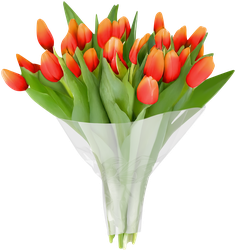 Изображение товара Монобукет Тюльпаны Премиум, крафт, 11шт