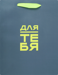 Изображение товара Подарочный бумажный пакет CITY HOME TRADE Special Men 22,7х18х10см, 1шт