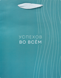 Изображение товара Подарочный бумажный пакет CITY HOME TRADE Basic Men 22,7х18х10см