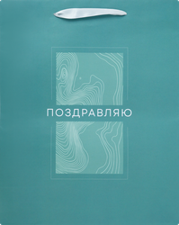 Изображение товара Подарочный бумажный пакет CITY HOME TRADE Basic Men 31,5х25,5х11см