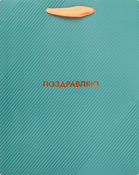 Изображение товара Подарочный пакет CITY HOME TRADE Special Men 22,7х18х10см бумага эффект